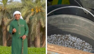 الزعاق يوضح أقسام الزراعة طوال العام.. فيديو