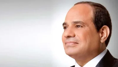 الرئيس السيسي يؤكد اهتمام الدولة بتأهيل الشباب لسوق العمل في مجال التعهيد بقطاع الاتصالات