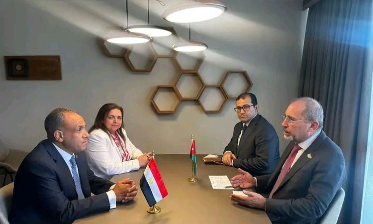 وزير الخارجية لنظيره التشادي: توجيهات من الرئيس السيسى بالعمل المستمر على تعزيز علاقات البلدين