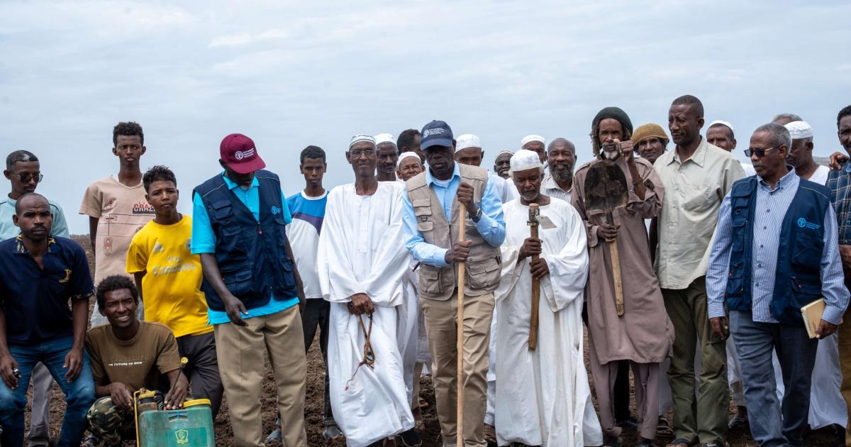 “التعليم فوق الجميع” و”الفاو” تطلقان مبادرة لإعادة توطين الثروة الحيوانية في السودان