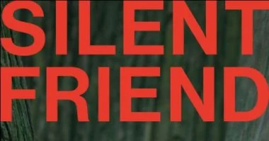 سجادة حمراء لأبطال صديق صامت والرسالة في مهرجان القاهرة