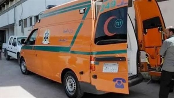 إصابة 4 أشخاص في الدقهلية إثر اصطدام سيارة