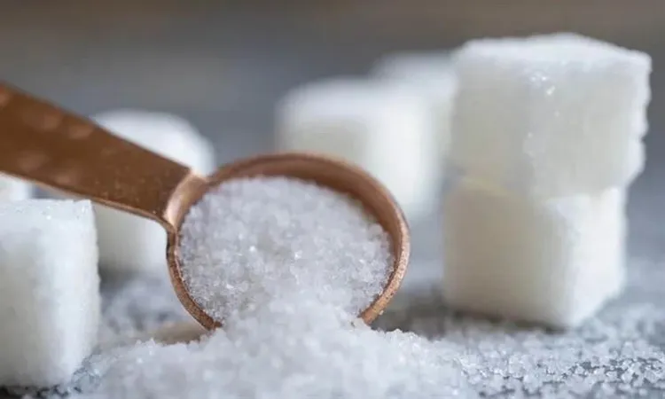 شريف فاروق يعلن توفر السكر الحر بالمجمعات الاستهلاكية بسعر 28 جنيهًا للكيلو