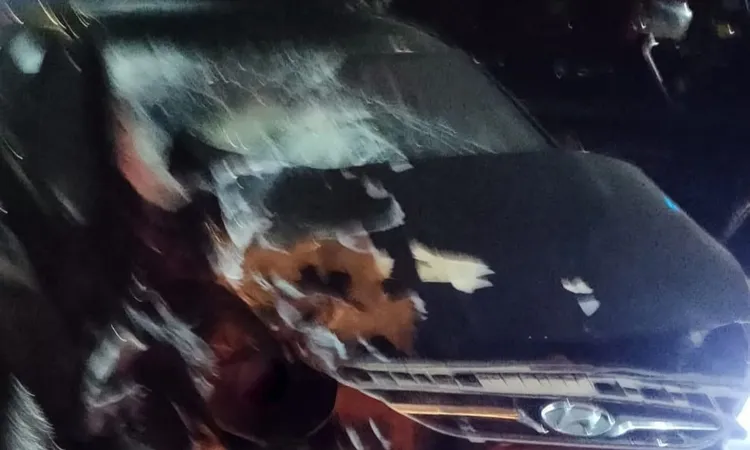 حادث تصادم بالمنوفية: وفاة وإصابة 3 أشخاص