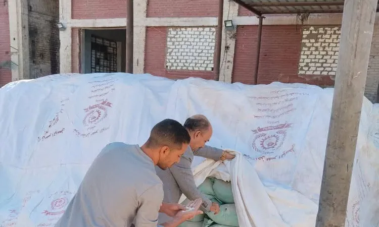 تموين المنيا تحرير 410 مخالفات في حملات واسعة لضبط الأسواق والمخابز وحماية الدعم