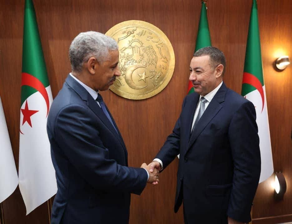 وزير الداخلية يستقبل رئيس مجموعة البنك الإفريقي للتنمية لبحث مشاريع استراتيجية تمهيدًا لشراكات تنموية