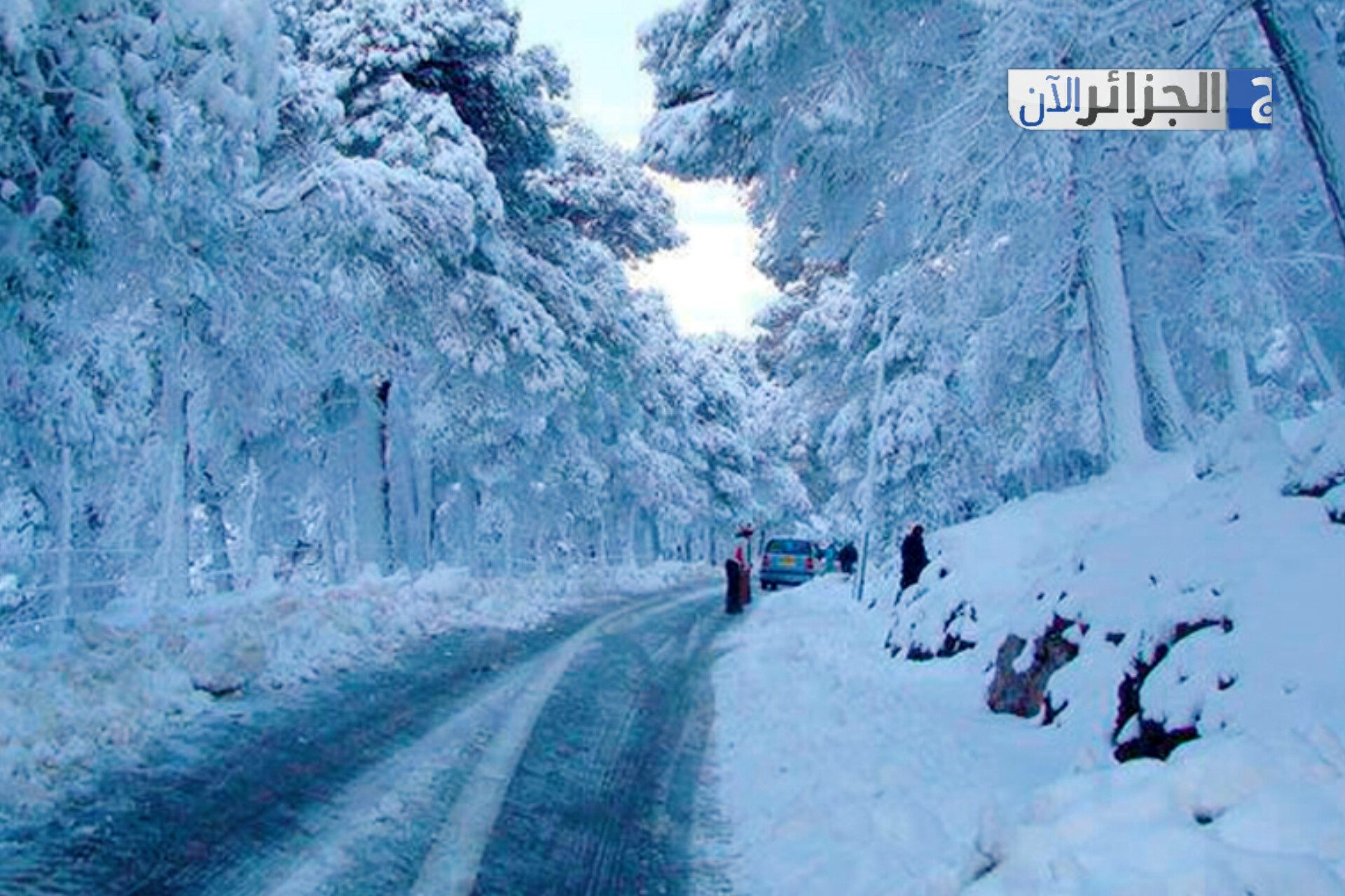 موجة ثلوج كثيفة تجتاح 19 ولاية وتغيّر المشهد وسط توقعات مستمرة