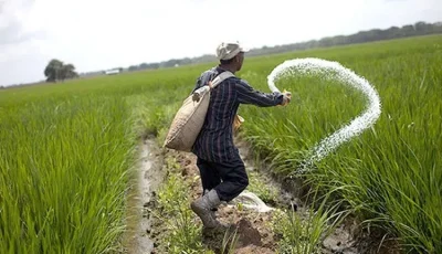 وزير الزراعة يحيل متورطين فى التلاعب بالأسمدة بـ 4 محافظات للنيابة
