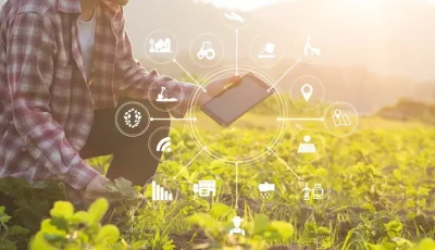 محافظ الجيزة: الواحات البحرية تمتلك مقومات زراعية وصناعية فريدة