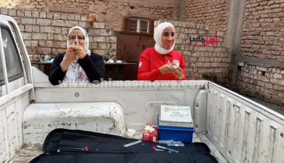 تحصين 39 كلب ضال في حملة للطب البيطري بقنا